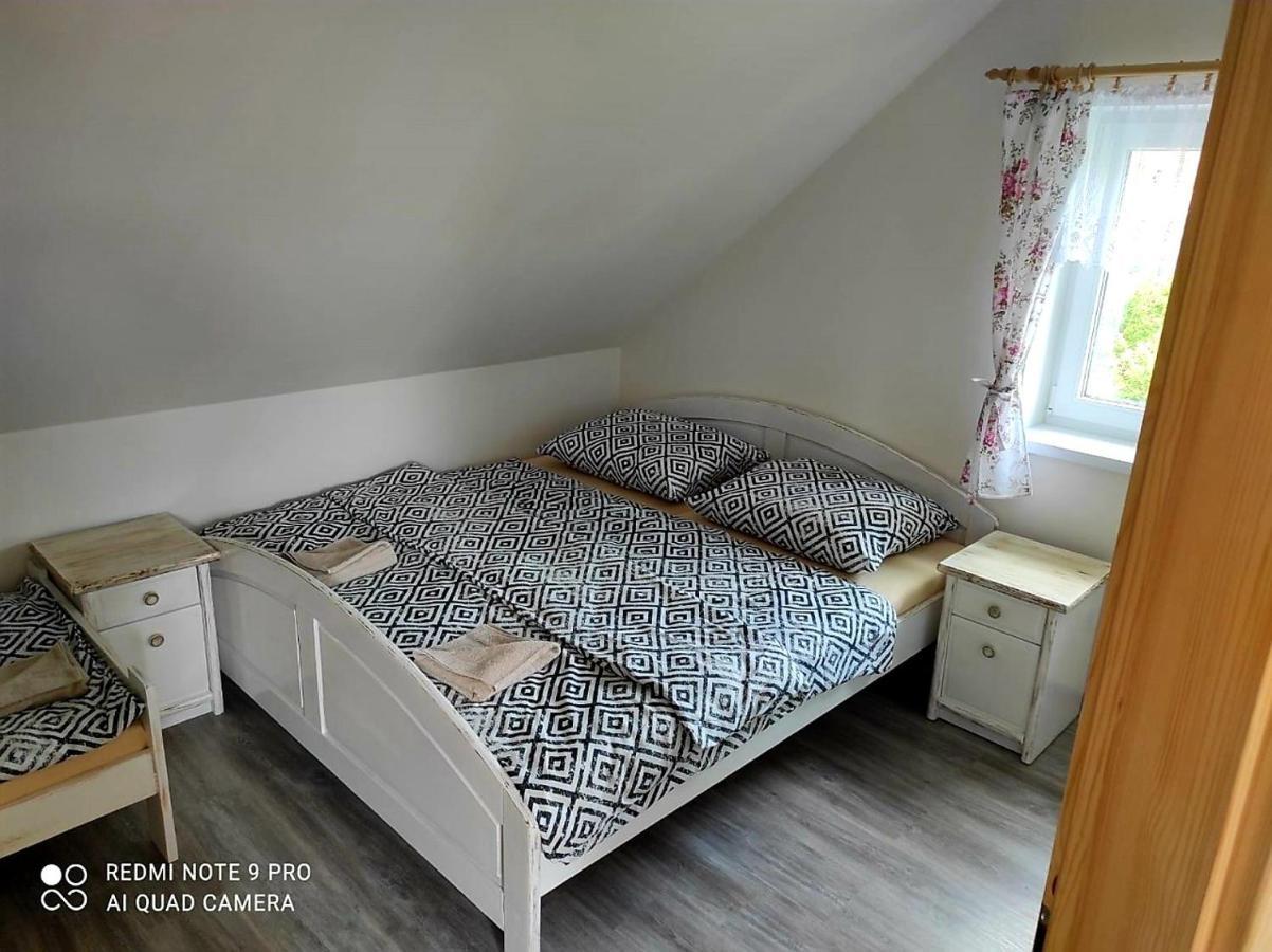 Dum A Chatka Pod Smrkem Nove Mesto pod Smrkem Extérieur photo