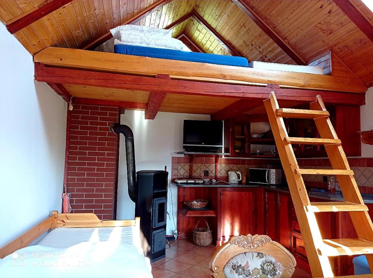 Dum A Chatka Pod Smrkem Nove Mesto pod Smrkem Extérieur photo