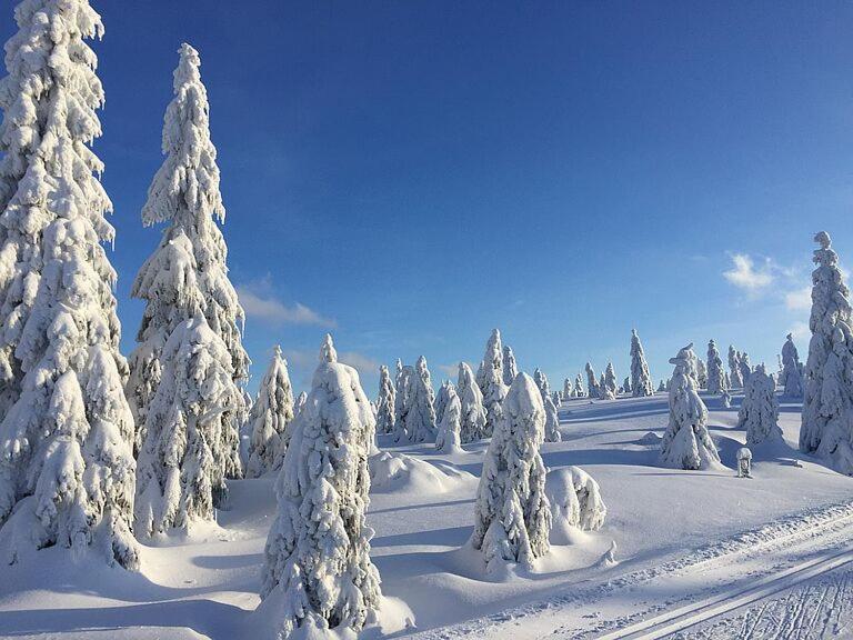 Dum A Chatka Pod Smrkem Nove Mesto pod Smrkem Extérieur photo