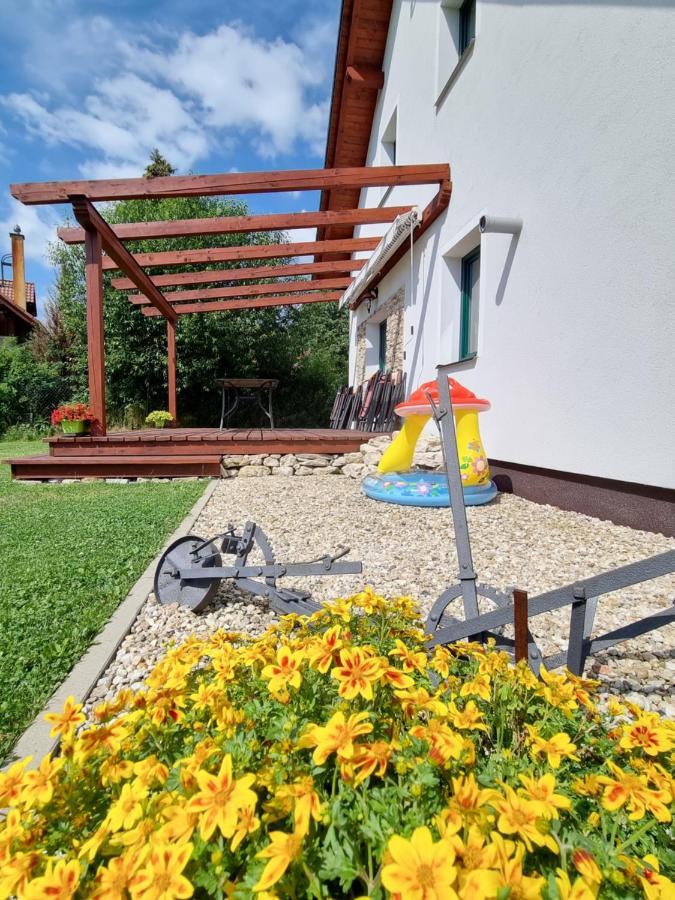 Dum A Chatka Pod Smrkem Nove Mesto pod Smrkem Extérieur photo